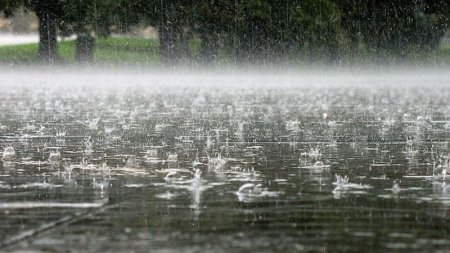 İstirahət günlərinin hava proqnozu