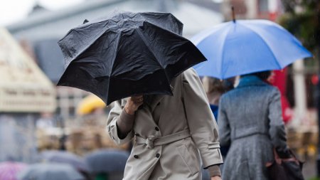 Bu günün hava proqnozu açıqlandı