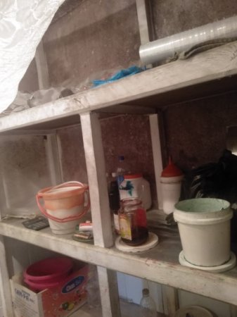 Bakıda limonad sexində iyrənc mənzərə - FOTO