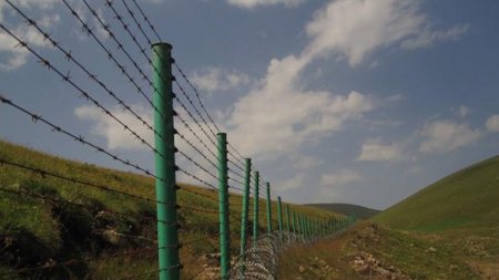 Rusiya-Azərbaycan sərhədində əməliyyat: 69 nəfər saxlanıldı