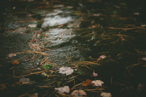 Прогноз погоды в Азербайджане на завтра  