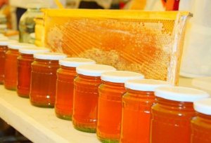 Rusiyaya qanunsuz bal, süd aparan azərbaycanlılara cinayət işi açıldı Rusiyaya qanunsuz bal, süd aparan azərbaycanlılara cinayət işi açıldı