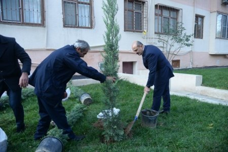 İcra başçısı mikrorayonda qəbul keçirib - Foto 