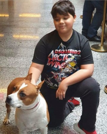 Prezident ailəsində xoş gün (FOTOLAR) 