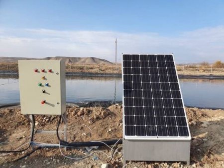 Ermənilər Qarabağın Araz sahilində  120 hektarlıq Amerika narı bağı saldı...-FOTOLAR  