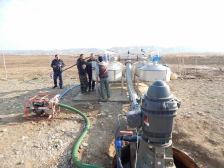 Ermənilər Qarabağın Araz sahilində  120 hektarlıq Amerika narı bağı saldı...-FOTOLAR  