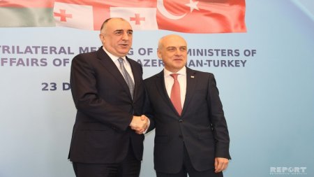 Azərbaycan və Gürcüstan XİN başçıları görüşdü