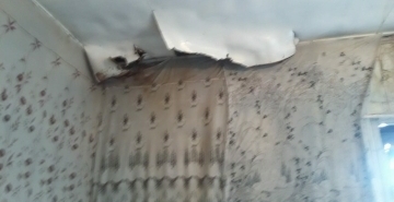 Şamaxı rayon Çarhan Bələdiyyəsinə seçilmiş lider namizəd Nicat Mahmudovun Ölkə prezidenti İlham Əliyev cənabına MÜRACİƏTİ