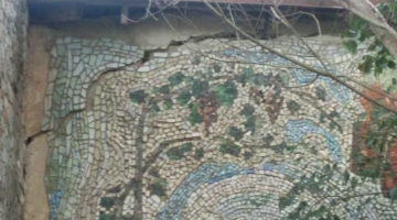 Şamaxı rayon Çarhan Bələdiyyəsinə seçilmiş lider namizəd Nicat Mahmudovun Ölkə prezidenti İlham Əliyev cənabına MÜRACİƏTİ