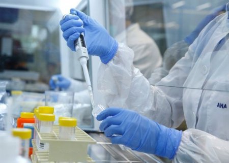 Finlandiyada “havadan” qida almağın yolunu tapıblar