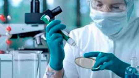 Azərbaycanda çox sayda adama “xərçəng” diaqnozu qoyan həkimlər həbs olunub