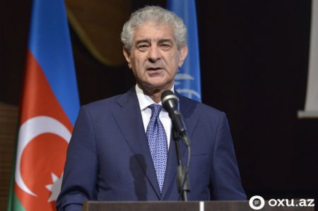 Əli Əhmədov: Azərbaycanın inkişafını dünyanın inkişafından kənarda təsəvvür etmək mümkün deyi
