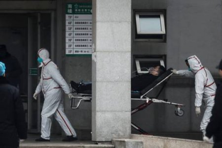 Öldürücü virusun Azərbaycanda yayılma təhlükəsi var - baş infeksionistdən xəbərdarlıq 