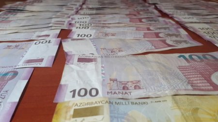 Bibisinin evindən 20 minlik oğurluq etdi - Foto