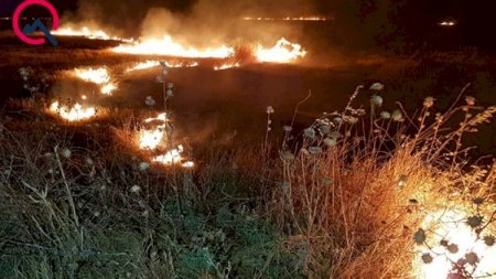 Güclü qasırğa yanğına səbəb oldu - İcra başçısı hadisə yerinə gəldi