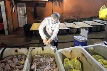 Bakıda qanunsuz fəaliyyət göstərən quş əti emalı müəssisəsi aşkarlanıb..