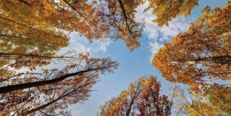 Sabah hava necə olacaq? –Proqnoz