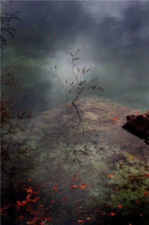 “Azerbaijan Airlines” jurnalının fotoqrafı AIPS mükafatının laureatı olub..