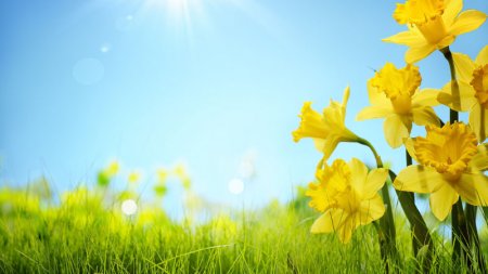 Bu günə olan hava proqnozu