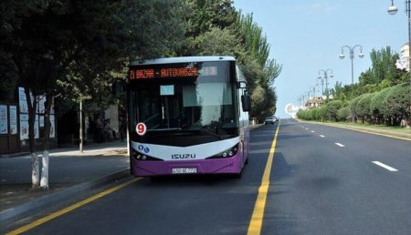 Bu avtobuslarda pulsuz 