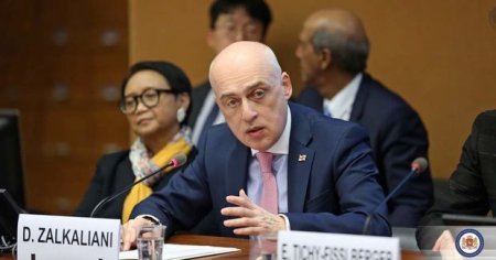 Gürcüstanın XİN başçısı BMT tədbirində azərbaycanlı qızdan danışdı