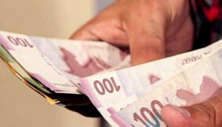 Ağac kəsən şirkətə 50 min manat cərimə