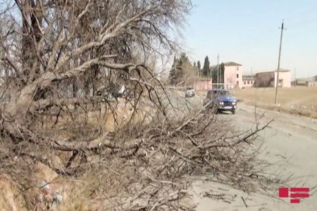 Goranboyda güclü külək fəsadlar törədib - FOTO