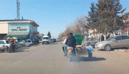 Həbs edilən icra başçısı rayonu belə talayıb (FAKTLAR/FOTOLAR) 