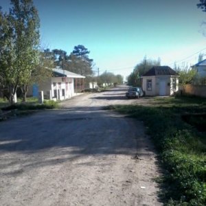 Novruza 600 hektar torpaq satıb, amma kənd sakinlərinə verməyə torpaq tapmır 