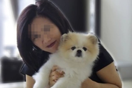 Koronavirusa yoluxan ilk it öldü Koronavirusa yoluxan ilk it öldü