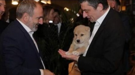 Paşinyanın mühafizəçisi koronavirusa yoluxdu - Foto