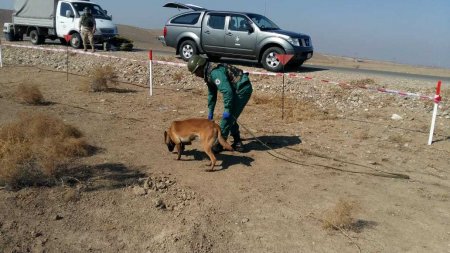 Göygöldə top mərmisi tapılıb