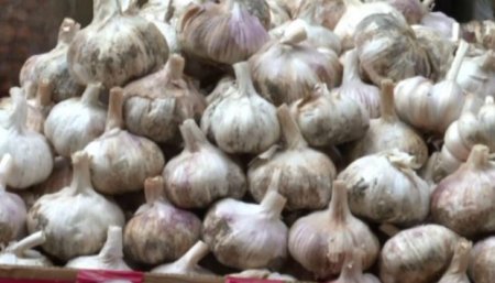 Koronavirus Azərbaycanda sarımsağı 5 dəfə bahalaşdırdı!