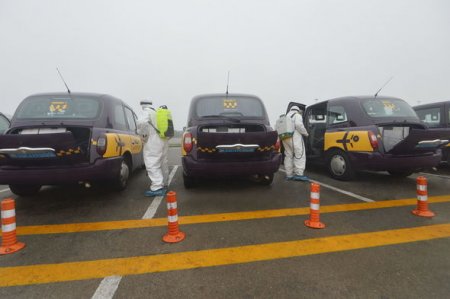 Bakı aeroportunda taksilər dezinfeksiya olunur - FOTO