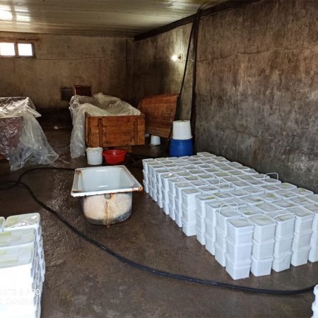 Bərdədə qanunsuz pendir sexlərinin fəaliyyəti məhdudlaşdırıldı