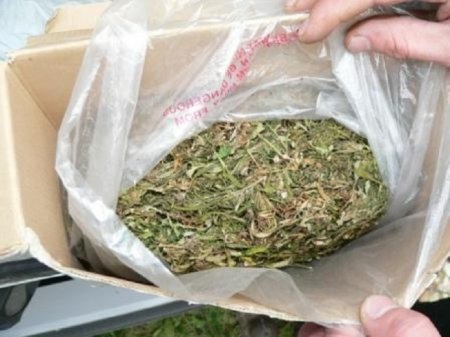 Hacıqabul rayon sakinindən narkotik vasitə aşkarlanaraq götürülüb