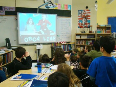 Məktəblərin bağlanması ilə əlaqədar teledərslər başlayıb