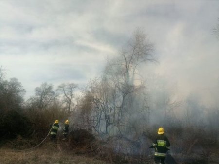 Yanğınların baş verdiyi ərazi meşə sahəsi deyil - AÇIQLAMA