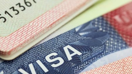 Ölkəmizdə vizaların rəsmiləşdirilməsini dayandırıldı