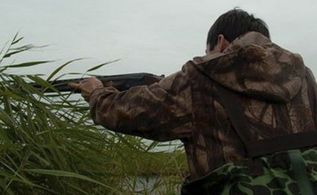 Ovçuluğun həyata keçirilməsi qadağan edilən ərazilərin sayı artırılır