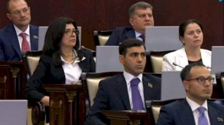 “Daha mənim burada nə işim var?“ – Erkin Qədirlinin parlamentdə ilk çıxışı