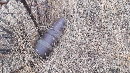 Ağstafada 4 top mərmisi tapılıb