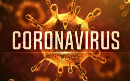 Türkiyədə koronavirus və terror təbliğatına görə təxribat edənlərə qarşı hüquqi tədbirlər görülür
