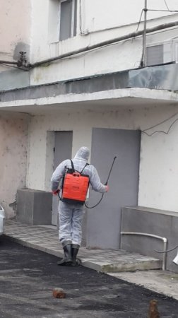 Lənkəranda koronavirusla mübarizə məqsədilə tibbi-profilaktik və dezinfeksiyaedici tədbirlər görülür