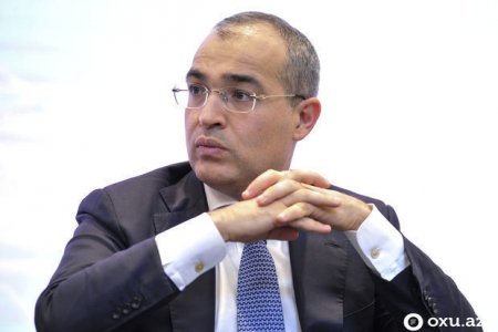 Mikayıl Cabbarov: “İlkin olaraq koronavirusdan zərər çəkən 12 sahə müəyyən edilib”