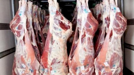 Bakıda ət mağazalarında antisanitariya: Karantin qaydaları belə pozulur - Video 