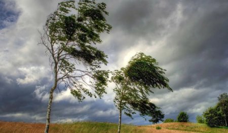 Sabahdan hava dəyişir, güclü külək əsəcək - XƏBƏRDARLIQ