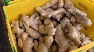 Azərbaycanda zəncəfili 45 manata yüksəldən nədir? Azərbaycanda zəncəfili 45 manata yüksəldən nədir?