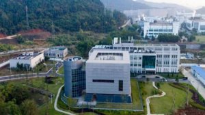 2 il əvvəlki ABŞ məxfi teleqramı: “Uhanda yarasa koronaviruslarının tədqiqatı aparılır...”