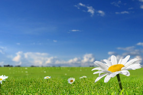 Havanın temperaturu 28 dərəcəyə yüksələcək Havanın temperaturu 28 dərəcəyə yüksələcək